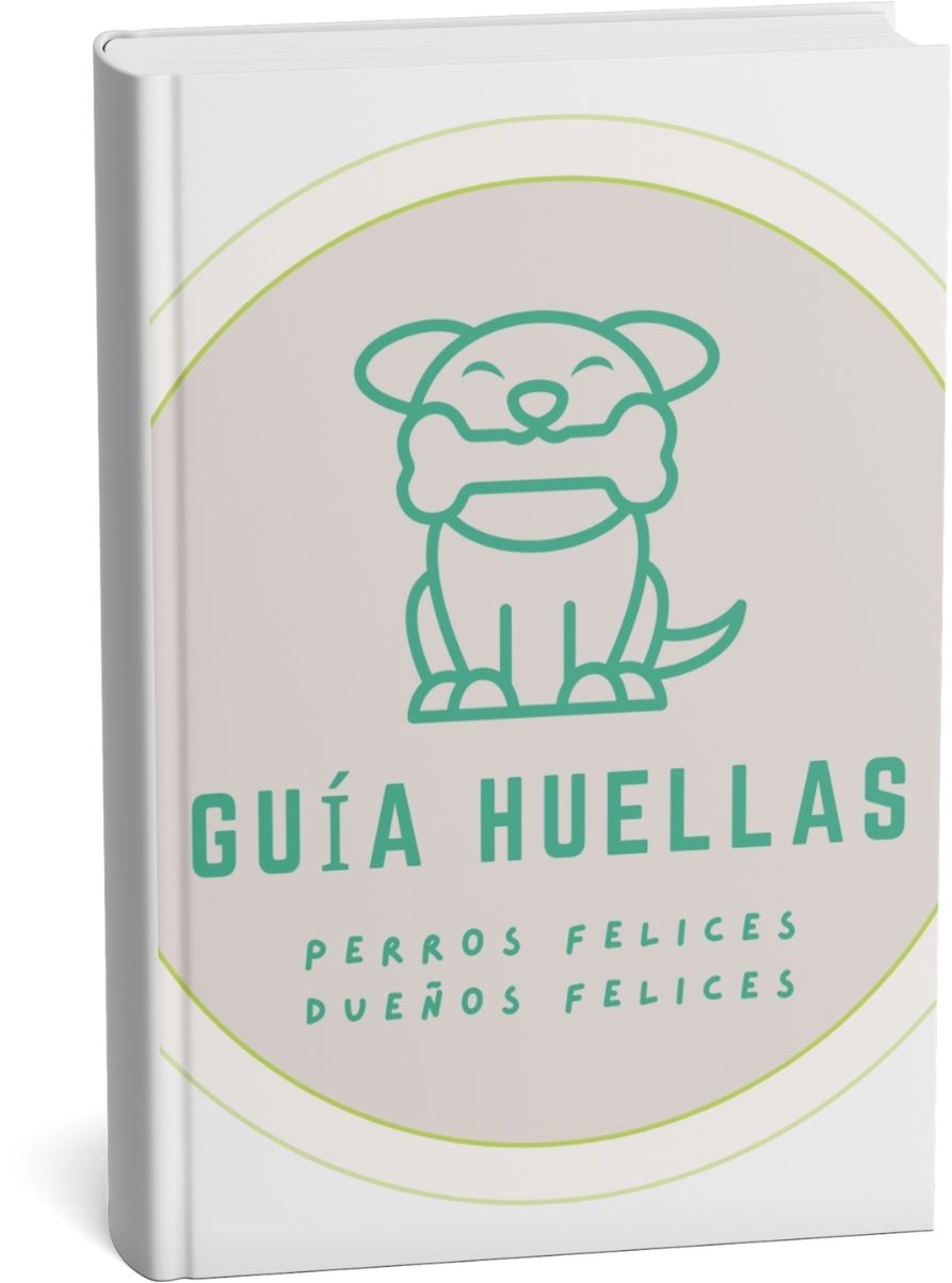 Guía Huellas